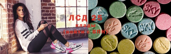 прущие грибы Алексин