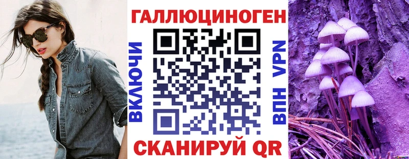Псилоцибиновые грибы Psilocybe Чебаркуль